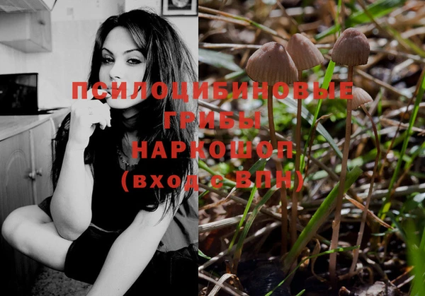 ПСИЛОЦИБИНОВЫЕ ГРИБЫ Дмитровск