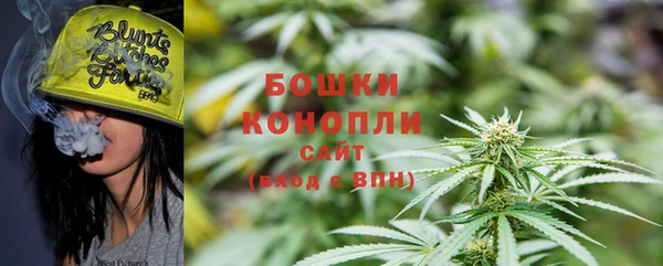 ПСИЛОЦИБИНОВЫЕ ГРИБЫ Дмитровск