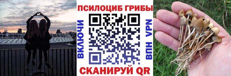 Галлюциногенные грибы Cubensis  Купить  Игарка 