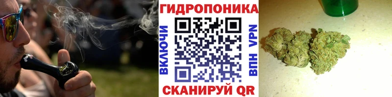 Купить где  Игарка  МАРИХУАНА White Widow 